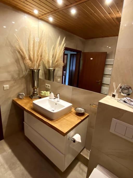 Live Joy- 3 Zimmer Wohnung Swisttal Dış mekan fotoğraf
